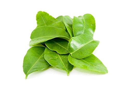 Fresh Kaffir Lime Leaves (Thai Lime Leaves) 2 Oz. ใบมะกรูด