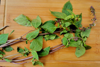 Thai basil